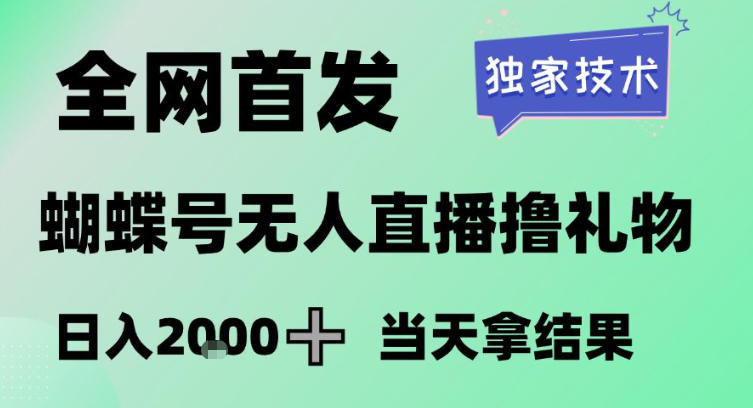 2026最新蝴蝶号无人直播掘金，独家技术，全网首发小白做了一个月收益3W，长期稳定可做【揭秘】-赚金金-技能学习分享