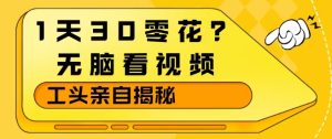 1天30零花？无脑看视频，大佬亲自揭秘-赚金金-技能学习分享