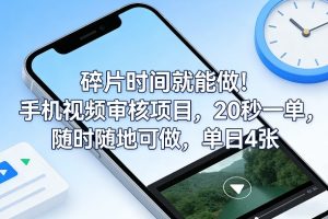 碎片时间就能做！手机视频审核项目，20秒一单，随时随地可做，单日4张+【揭秘】-赚金金-技能学习分享