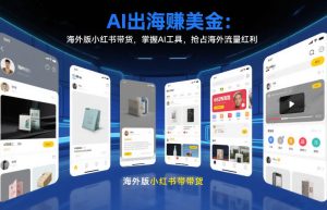 AI出海賺美金：海外版小红书带货，掌握AI工具，抢占海外流量红利（更新2026）-赚金金-技能学习分享
