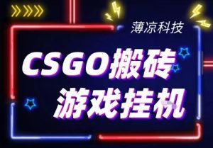 CSGO游戏挂G游戏搬砖最新升级，普通小白一部手机可日入3张+当天见结果，支持验证【揭秘】-赚金金-技能学习分享