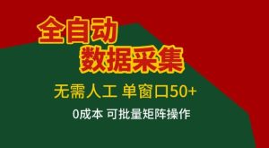 全自动数据采集项目，无需人工，单窗口可达50+收益，操作简单无难度，一个人也能轻松实现矩阵【揭秘】-赚金金-技能学习分享