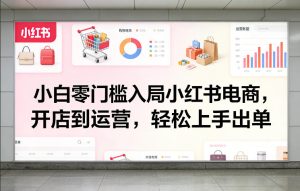 小白零门槛入局小红书电商，开店到运营，轻松上手出单-赚金金-技能学习分享
