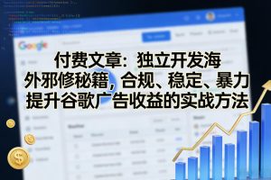 付费文章：独立开发海外邪修秘籍，合规、稳定、暴力提升谷歌广告收益的实战方法-赚金金-技能学习分享