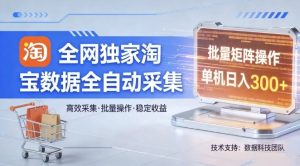全网独家，淘宝数据全自动采集项目，批量可矩阵，单机轻松日入300【揭秘】-赚金金-技能学习分享