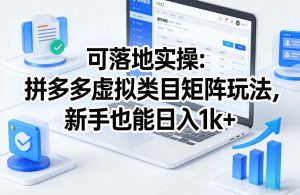 可落地实操：拼多多虚拟类目矩阵玩法，新手也能日入1k+【揭秘】-赚金金-技能学习分享