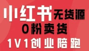 小红书无货源0粉电商课,开店准备、选品策略、笔记撰写、视频剪辑、数据分析、账号打造、资料文档(更新26年3月)-赚金金-技能学习分享