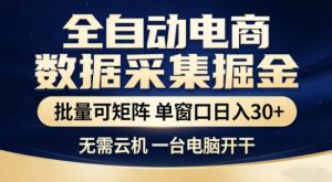 独家电商数据全自动采集项目，批量可矩阵，单窗口轻松日入3张+【揭秘】-赚金金-技能学习分享