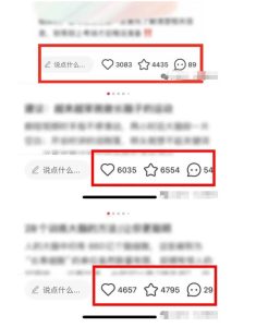 小红书获客实战宝典，带你从小红书平台稳定获客，轻松引流到微信私域-赚金金-技能学习分享