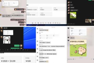 雷神加速器项目模拟器_无脑1分钟1条视频矩阵_疯狂报单打法【焚诀】-赚金金-技能学习分享