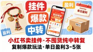 小红书卖挂件，不囤货纯中转复制爆款玩法，单日盈利3-5张-赚金金-技能学习分享