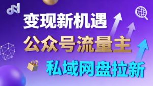 公众号流量主+私域网盘拉新，多方式变现，简单易上手，当天就有收益-赚金金-技能学习分享