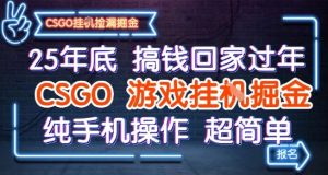 25年底搞钱回家过年,CSGO游戏挂G掘金,纯手机操作超简单【揭秘】-赚金金-技能学习分享