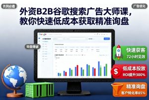 外资B2B谷歌搜索广告大师课,教你快速低成本获取精准询盘-赚金金-技能学习分享
