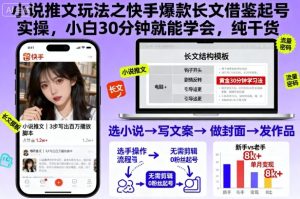 小说推文玩法之快手爆款长文借鉴起号实操，小白30分钟就能学会，纯干货-赚金金-技能学习分享