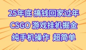 25年底搞钱回家过年,CSGO游戏挂G掘金,纯手机操作超简单【揭秘】-赚金金-技能学习分享