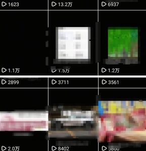 抖音引流创业粉教程,创业粉终于跑通了,私域是永远的王-赚金金-技能学习分享