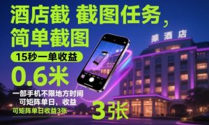 酒店截图任务,简单截图,15秒一单收益0.6米,一部手机不限地方时间,可矩阵单日收益3张【揭秘】-赚金金-技能学习分享