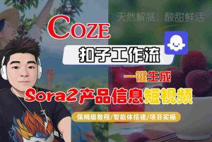 Coze扣子智能体工作流一键生成“SORA2产品信息“短视频，全流程保姆级教学-赚金金-技能学习分享