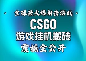 【年底大揭秘】基于全球最火爆的射击CSGO游戏挂G搬砖,日入5张+,震撼公开-赚金金-技能学习分享