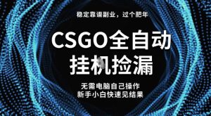 【稳定副业】全球最热门游戏CSGO全自动捡漏,最新玩法,新手小白日入5张+【揭秘】-赚金金-技能学习分享