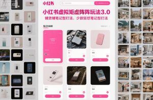 小红书虚拟矩阵玩法3.0，铺货铺笔记型打法，少款狂怼笔记型打法-赚金金-技能学习分享