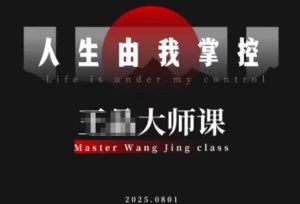 流量破局-人生由我掌控,从素人快速进阶,实现流量与商业价值双丰收-赚金金-技能学习分享