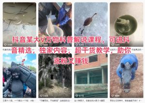 抖音某大V万物科普解说课程，可进抖音精选，独家内容，超干货教学，助你涨粉又賺钱-赚金金-技能学习分享