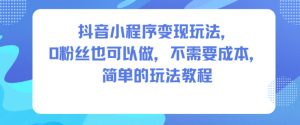 抖音小程序变现玩法，0粉丝也可以做，不需要成本，简单的玩法教程-赚金金-技能学习分享