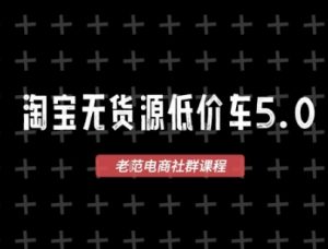 淘宝无货源价车5.0，​2025最新VIP淘宝无货源课程，1688代发，蓝海选品，零成本创业首选（更新）-赚金金-技能学习分享
