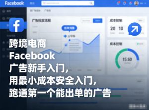 跨境电商Facebook广告新手入门,用最小成本安全入门,跑通第一个能出单的广告-赚金金-技能学习分享