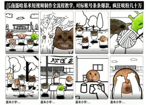卤蛋哈基米短视频制作全流程教学，条条爆款，疯狂吸粉几十万-赚金金-技能学习分享