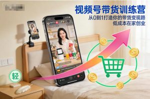 视频号带货训练营，从0到1打造你的带货变现路，低成本在家创业-赚金金-技能学习分享