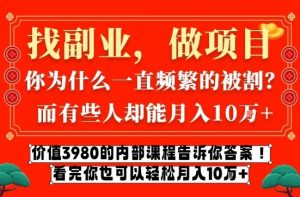 价值3980的网创内部课程，告诉你互联网创业月入10个W的秘密【揭秘】-赚金金-技能学习分享
