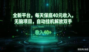 最新看广平台，每天保底30-4米，无脑项目，自动挂G解放双手【揭秘】-赚金金-技能学习分享