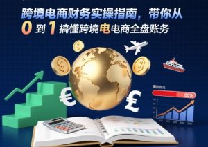 跨境电商财务实操指南,带你从0到1搞懂跨境电商全盘账务-赚金金-技能学习分享