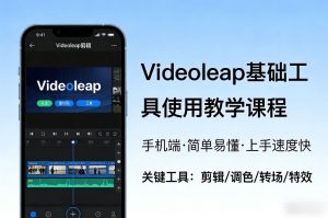 Videoleap基础工具使用教学课程，手机端视频剪辑教学，简单易懂，上手速度快-赚金金-技能学习分享