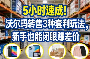 5小时速成!沃尔玛转售3种套利玩法,新手也能闭眼賺差价-赚金金-技能学习分享