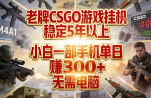 老牌CSGO游戏挂G,稳定5年以上,小白一部手机单日賺3张+,无需电脑【揭秘】-赚金金-技能学习分享