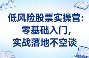 低风险股票实操营:零基础入门,实战落地不空谈-赚金金-技能学习分享