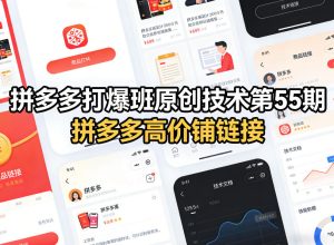 拼多多打爆班原创技术第55期，拼多多高价铺链接-赚金金-技能学习分享