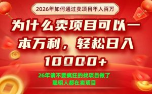 一单净利润1K+，26年想年入100个W，死磕卖项目就够了【揭秘】-赚金金-技能学习分享