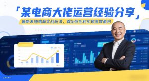 某电商大佬运营经验分享，最新系统电商实战玩法，跳出低毛利实现高效盈利（更新）-赚金金-技能学习分享