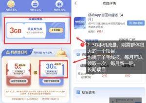 手机流量领取推广_每月一轮，刚需类的长期项目-赚金金-技能学习分享