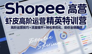 Shopee虾皮高阶运营技巧:流量转化业绩翻倍-赚金金 - 零基础副业|AI变现|短视频运营实战干货