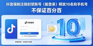 抖音强制注销F禁账号释放手机号(不保证)-赚金金 - 零基础副业|AI变现|短视频运营实战干货